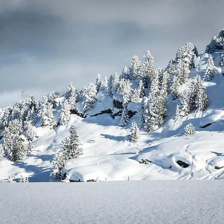 Alpin 3* 1850, 6 Pers, Central, Proche Pistes - Fr-1-575-246 شقة *